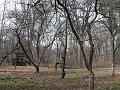 84 River Road, Summit, NJ - 29